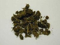 dried marijuana